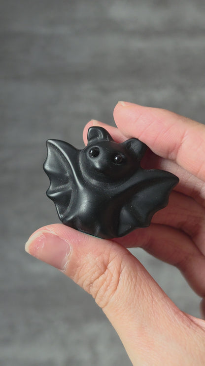 Assorted Bat