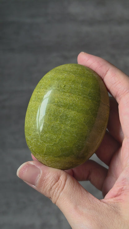 Avocado Jasper Palmstone