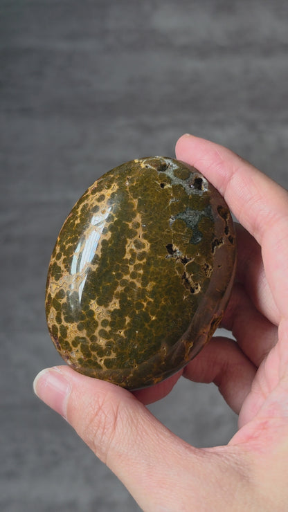 River Jasper Palmstone