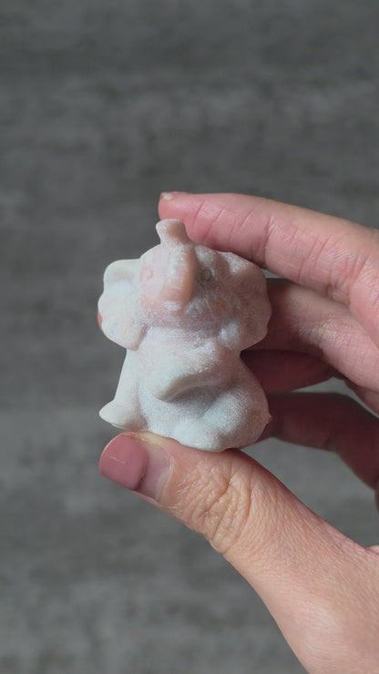 Assorted Elephant