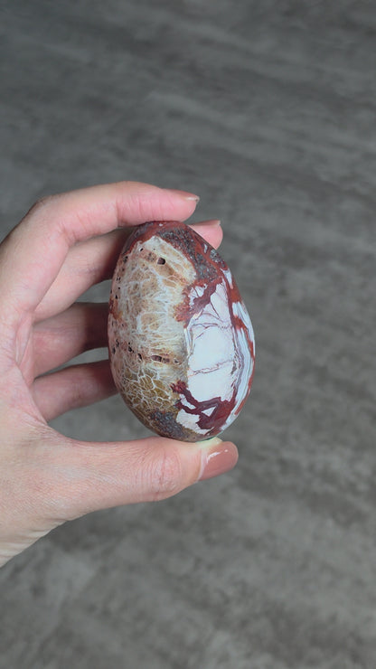 Mexican Agate Egg