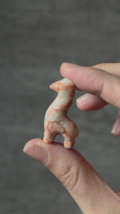 Assorted Mini Giraffe