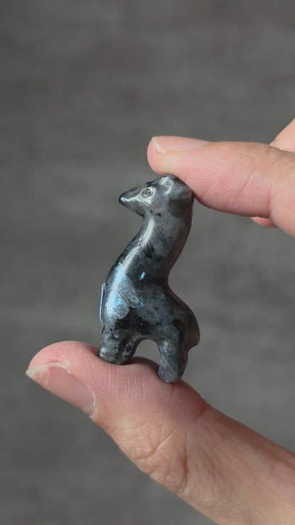 Assorted Mini Giraffe