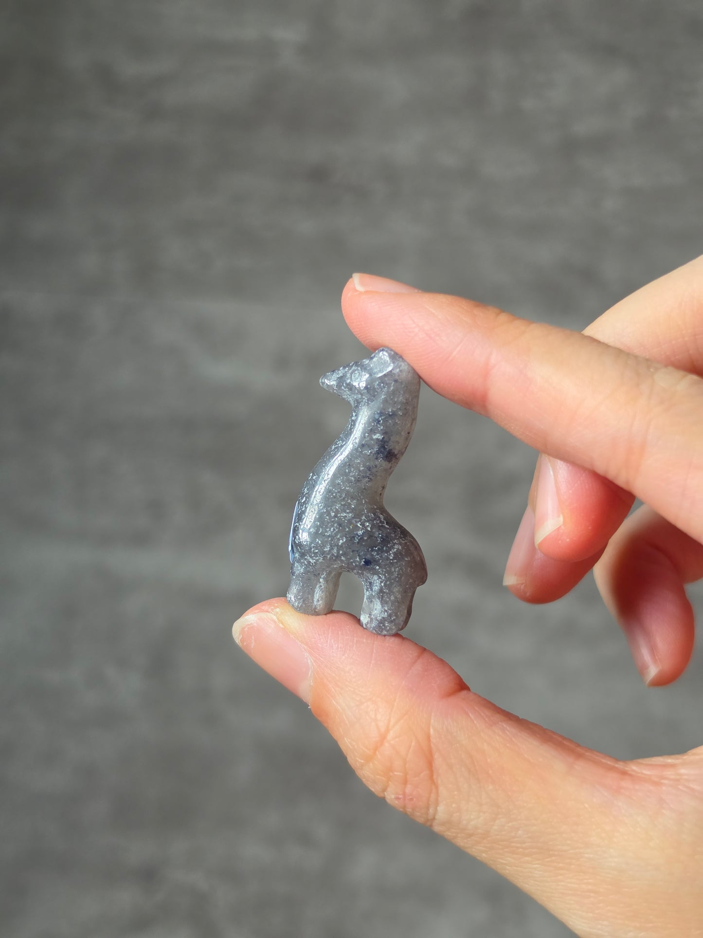Assorted Mini Giraffe