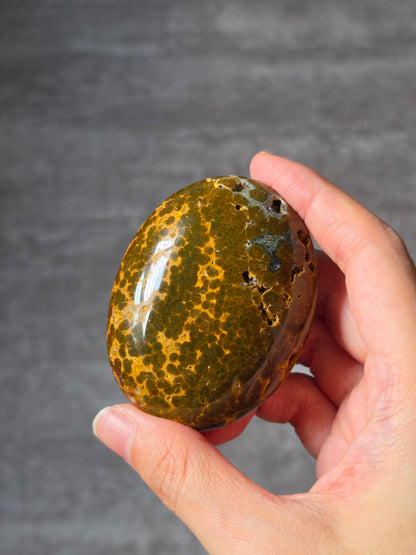 River Jasper Palmstone